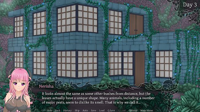 Succubus Research Diary