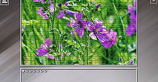 Super Jigsaw Puzzle: Generations - Flowers 2