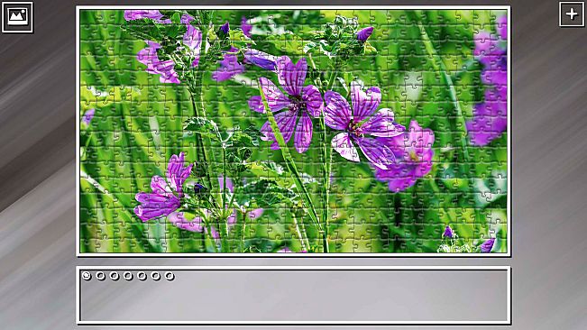 Super Jigsaw Puzzle: Generations - Flowers 2