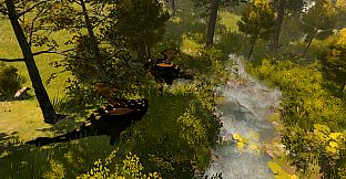 Cozy Country