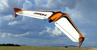 RealFlight Evolution – Zipper