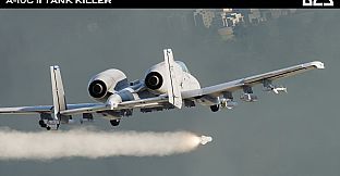 DCS: A-10C II Tank Killer