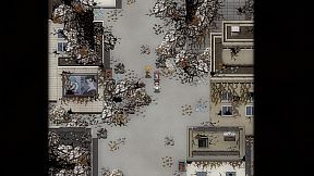 残世界的鸢尾花