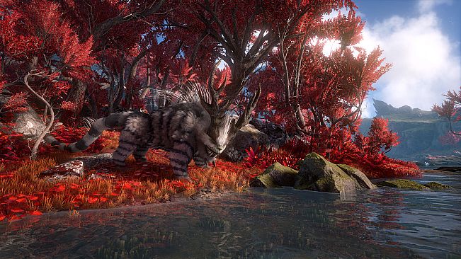 Dark and Light - Shard of Faith