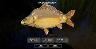 Russian Fishing 4 - Amber Lake