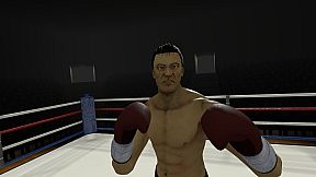 The Thrill of the Fight - VR Boxing