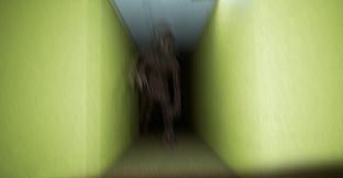 Backrooms of Reality