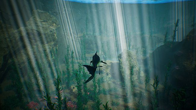 Tidepool