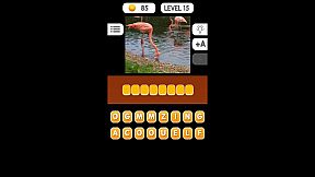 Photo Quiz - Animals