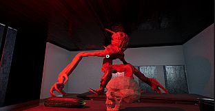 The Complex Chapter 1: Who, What, Where?