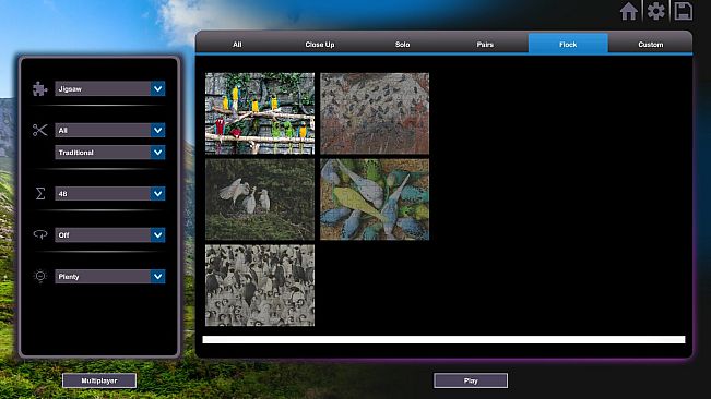 Let's Play Jigsaw Puzzles: Birds