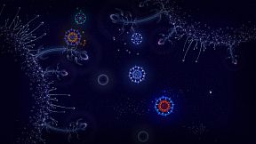 Microcosmum: survival of cells