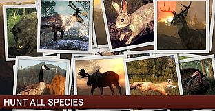 theHunter - Stealth Hunter