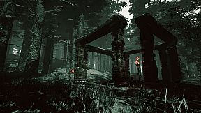 Mycelium: The Silent Contract