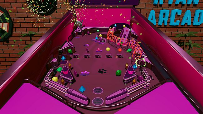 Roxy Raccoon's Pinball Panic