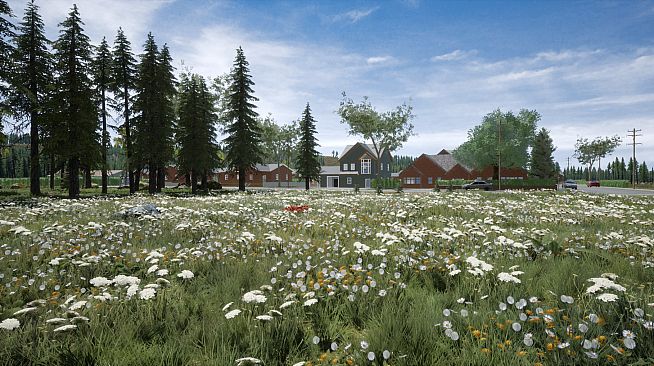 Proletarian Budget Survival