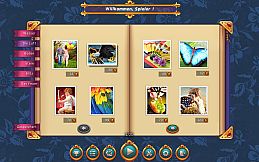 1001 Jigsaw. 6 Magic Elements (拼图)