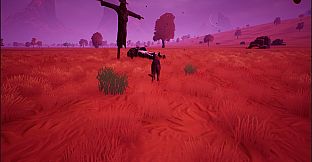 Left In The Forest