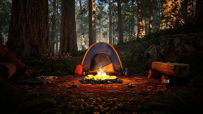 The Last Saviour: Search of Truth