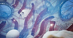 Lifecycles of the Traveler Spider