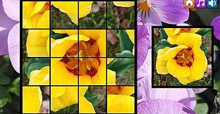 OG Puzzlers: Spring 2K24