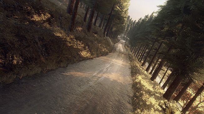 DiRT Rally 2.0 - Colin McRae: FLAT OUT Pack