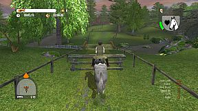 Lucinda Green's Equestrian Challenge