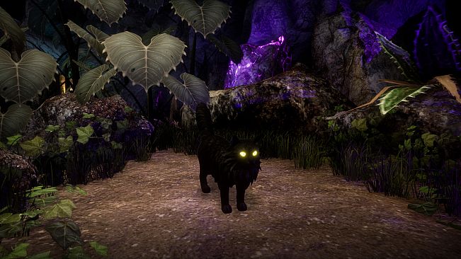 Another Sight - Hodge Skins