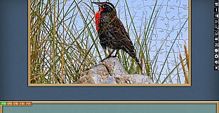 Jigsaw Puzzle Pack - Pixel Puzzles Ultimate: PP2 Birds