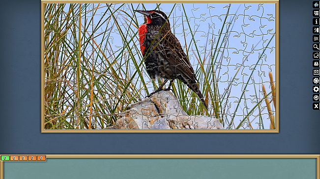 Jigsaw Puzzle Pack - Pixel Puzzles Ultimate: PP2 Birds