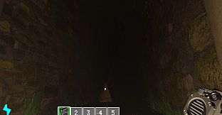 Liars Race in Lost Ruins