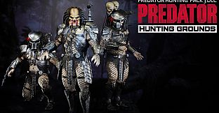 Predator: Hunting Grounds - Hunting Party DLC Bundle 3