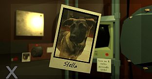 Halley's Bell