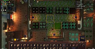 Winkeltje - Cat Companion