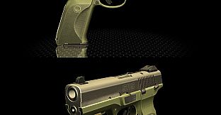 World of Guns: Pistols Pack #1