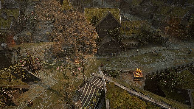 Dragonkin: The Banished - Founder Pack 3