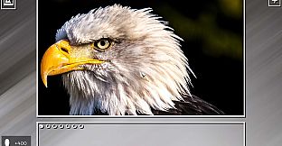 Super Jigsaw Puzzle: Generations - Random Animals Puzzles