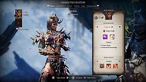 Divinity: Original Sin 2 - Definitive Edition