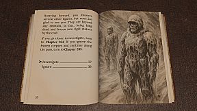 Heart of Ice by Dave Morris