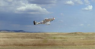 RealFlight Evolution - E-flite P-51D Mustang 1.5m Big Beautiful Doll