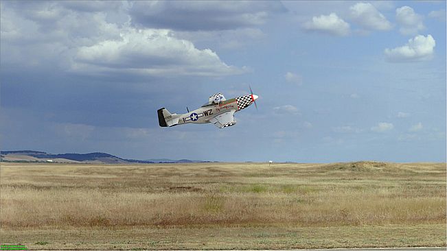 RealFlight Evolution - E-flite P-51D Mustang 1.5m Big Beautiful Doll