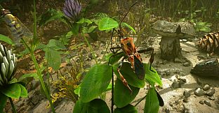 Insect Worlds
