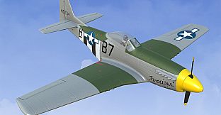 RealFlight Evolution - 2025 Year Content Pass