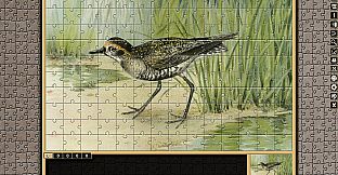 Pixel Puzzles Traditional Jigsaws Pack: Variety Pack 12