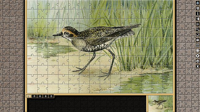 Pixel Puzzles Traditional Jigsaws Pack: Variety Pack 12