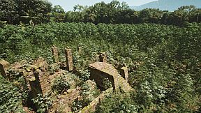 Combat Journals - Vietnam