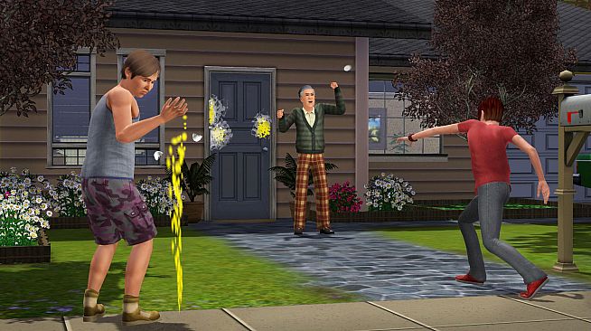 The Sims 3 Generations