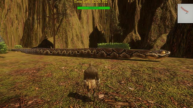 THE ADVENTURES OF LWANDA MAGERE