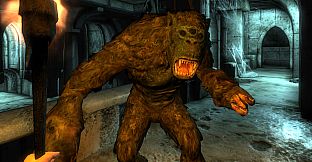 The Elder Scrolls IV: Oblivion Game of the Year Edition (PC) – 2009