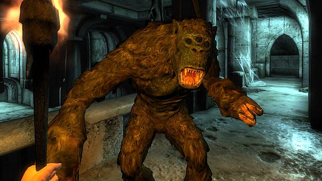 The Elder Scrolls IV: Oblivion Game of the Year Edition (PC) – 2009